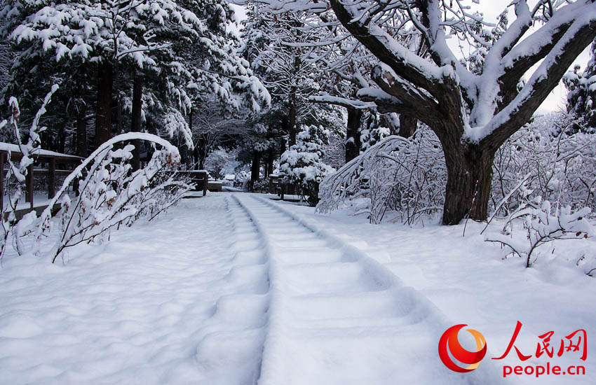 ??? ??? ??? [?? ??: ???]