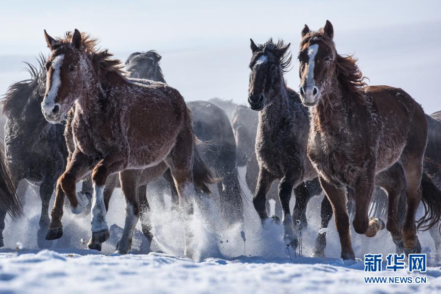 ?? ‘??? ??’, ???? ‘???? ????’