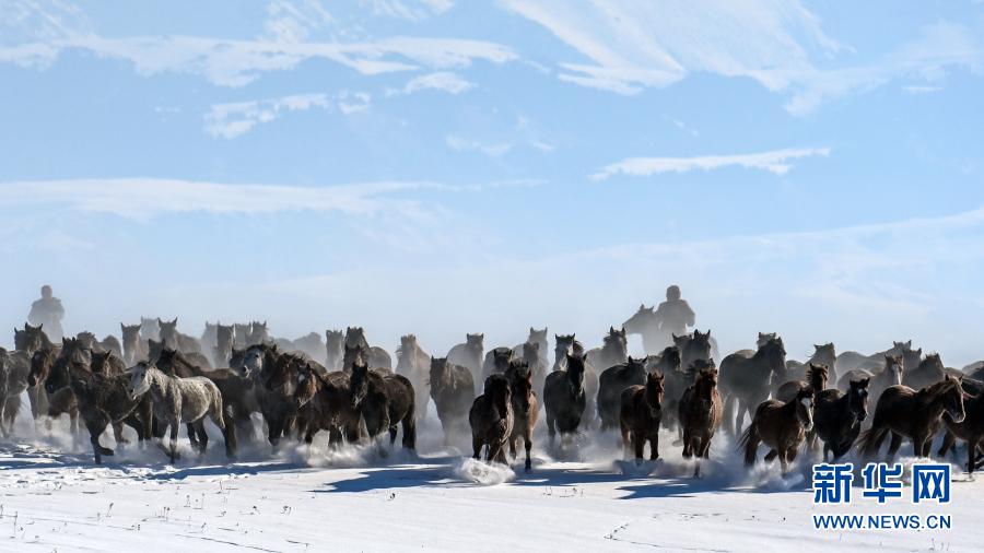 ???? ????????? ??? ???? ??? [2020? 12? 31? ??/?? ??: ???]