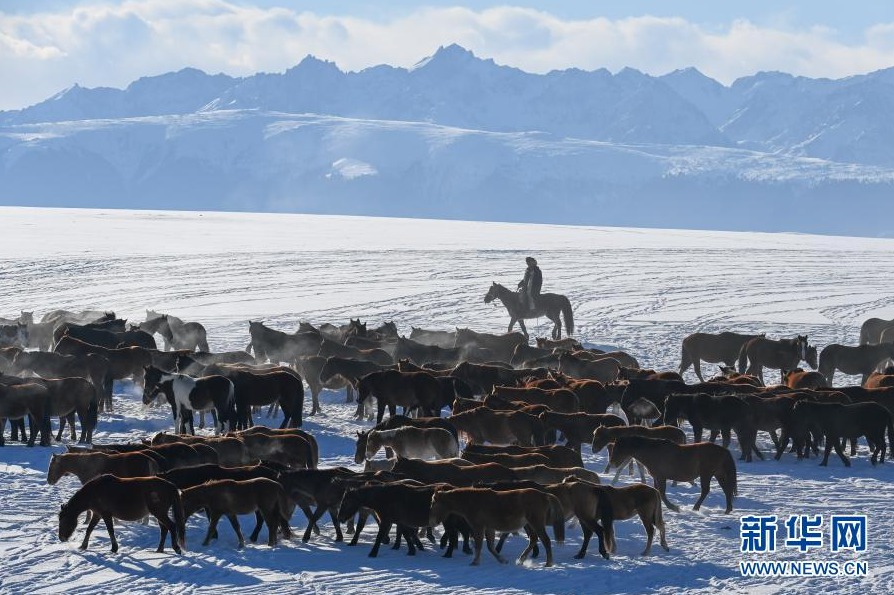  [2020? 12? 20? ??/?? ??: ???]