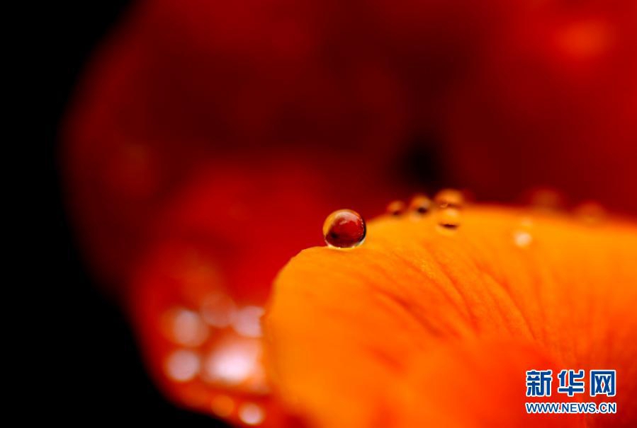 ? ? ? ??? ??(閔行)? ?? ?? [?? ??: ???]