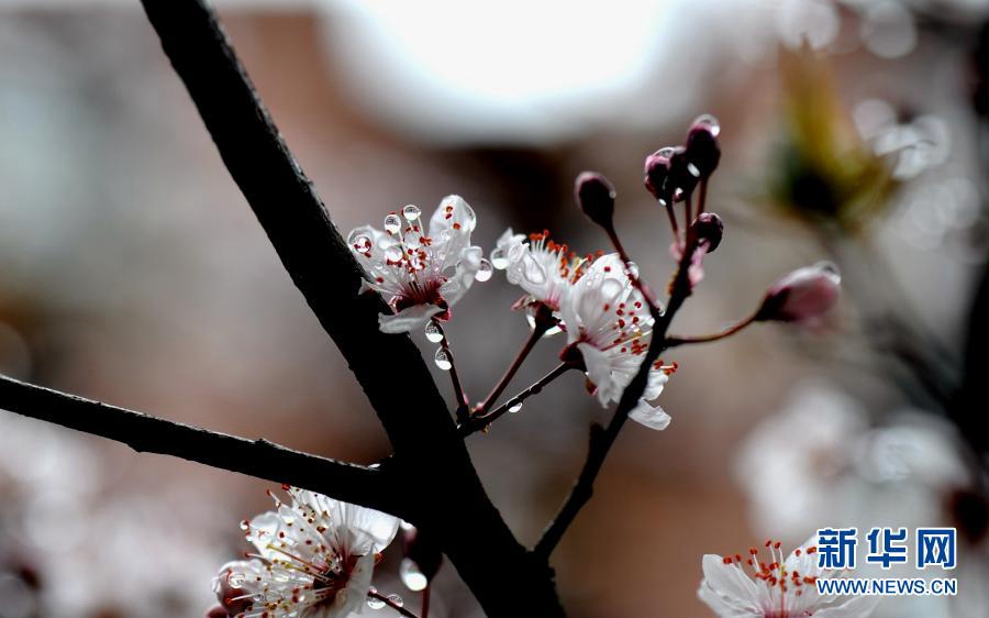 ? ? ? ??? ??(閔行)? ?? ?? [?? ??: ???]