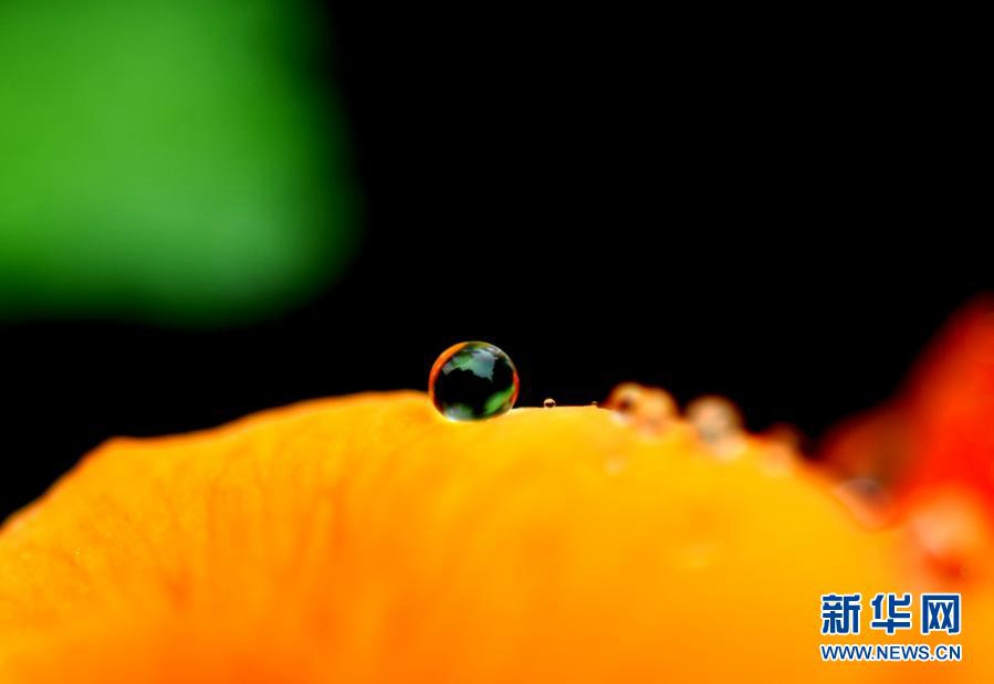 ? ? ? ??? ??(閔行)? ?? ?? [?? ??: ???]