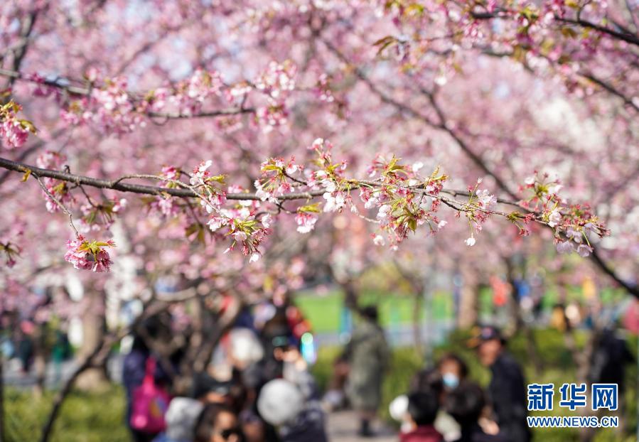  [3? 2? ??/?? ??: ???]