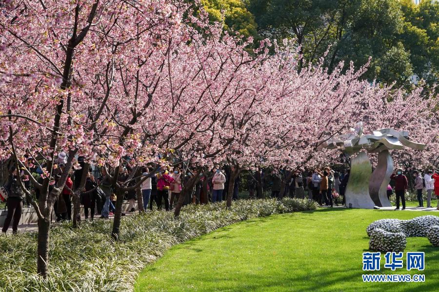  [3? 2? ??/?? ??: ???]