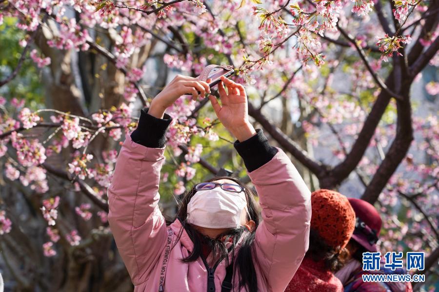  [3? 2? ??/?? ??: ???]