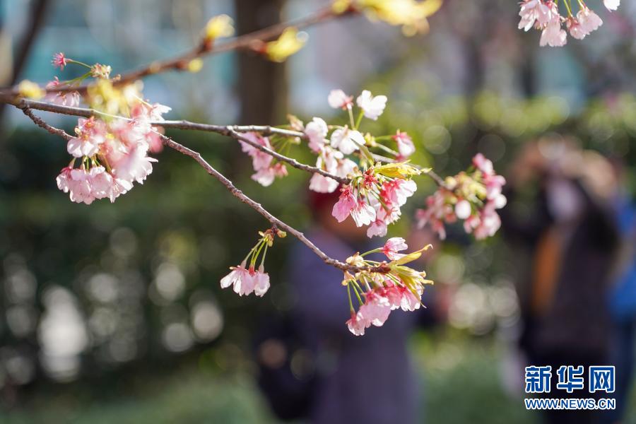  [3? 2? ??/?? ??: ???]