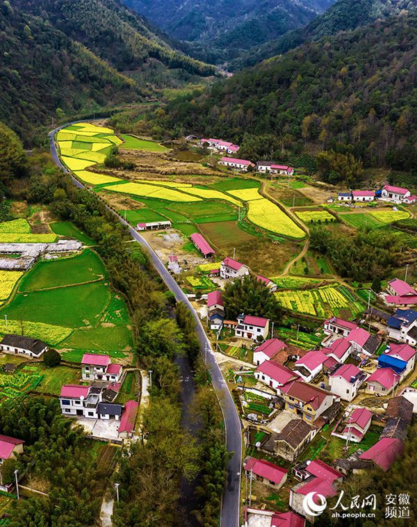 ????? ?? [?? ??/?? ??: ???]