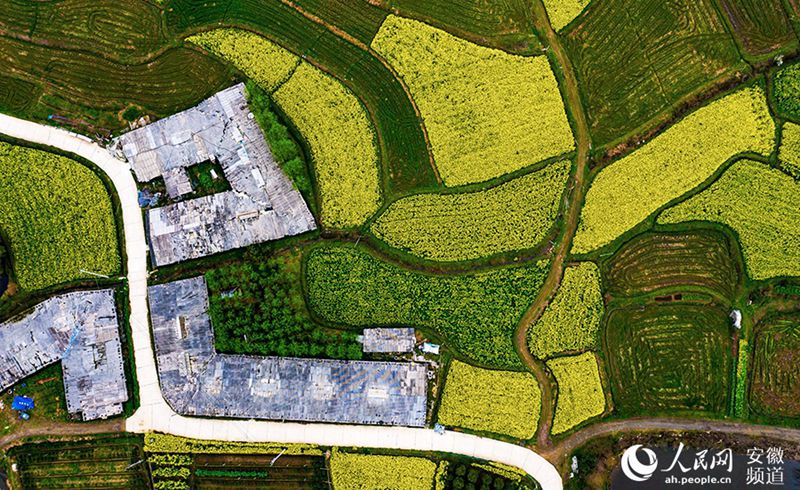 ????? ??? ?? ?? ???? [?? ??/?? ??: ???]