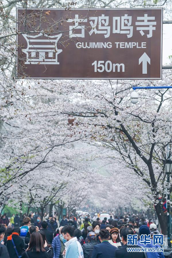 ??? ????? ??? ???? ??. [3? 16? ??/?? ??: ???]