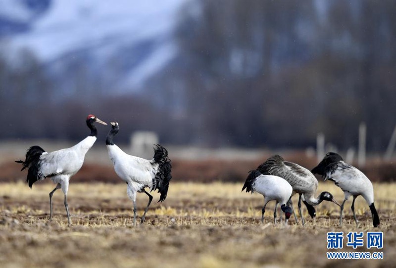 ???????? ???? ??? ?? ?????? [3? 14? ??/?? ??: ???]