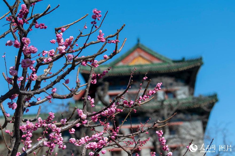 3? 21?, ??? ?? ?? ?, ???????(明城墻遺址公園, ?????????)? ???, ???? ??? ????? ??? ???. [?? ??: ???] 