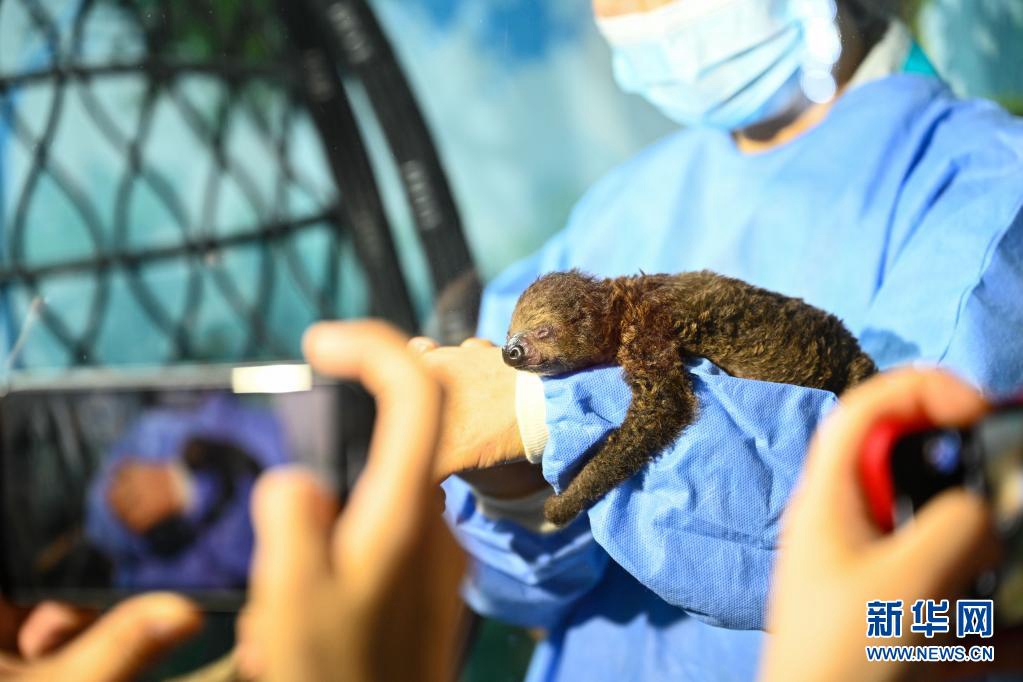 ???? ???? ??? ??? ??. [?? ??: ???]