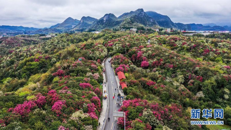 ????? ?????? ?? ????? ????? ??. [3? 21? ?? ??/?? ??: ???]