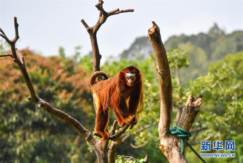 ?? ????????? ??? ?? ???? ??. [3? 17? ??/?? ??: ???]