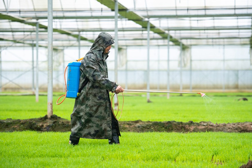 ??(湖南) ??(瀏陽)? ??(龍伏)? ? ?? ???, ??? ??? ??. [4? 5? ??/?? ??: ???]