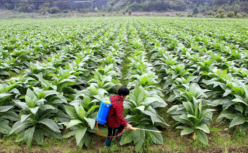 ?? ??(南平)? ??(順昌)? ???(元坑)? ??? ???? ????. [4? 5? ??/?? ??: ???]