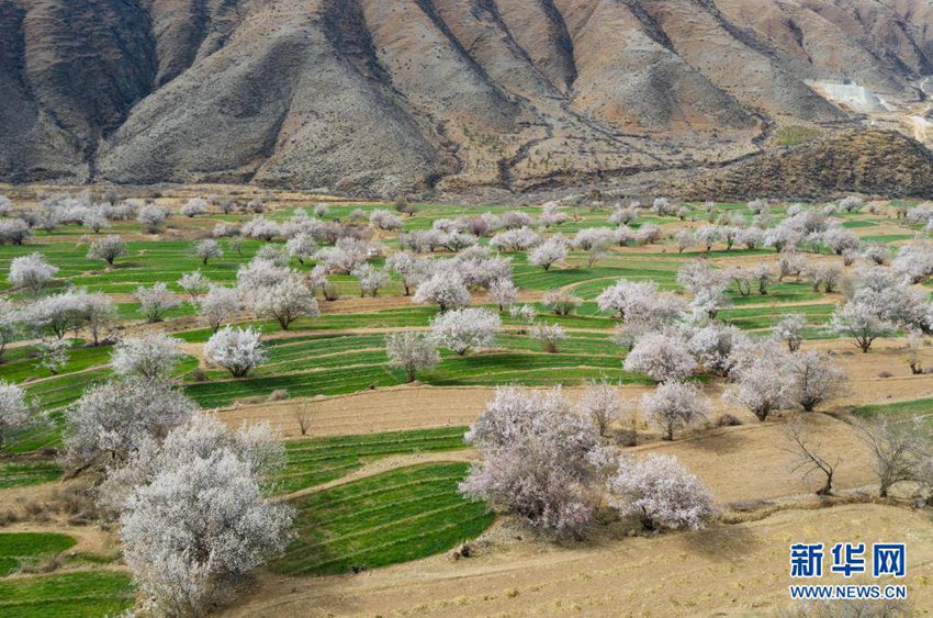 ???? ??? ?? [4? 3? ?? ??/?? ??: ???]