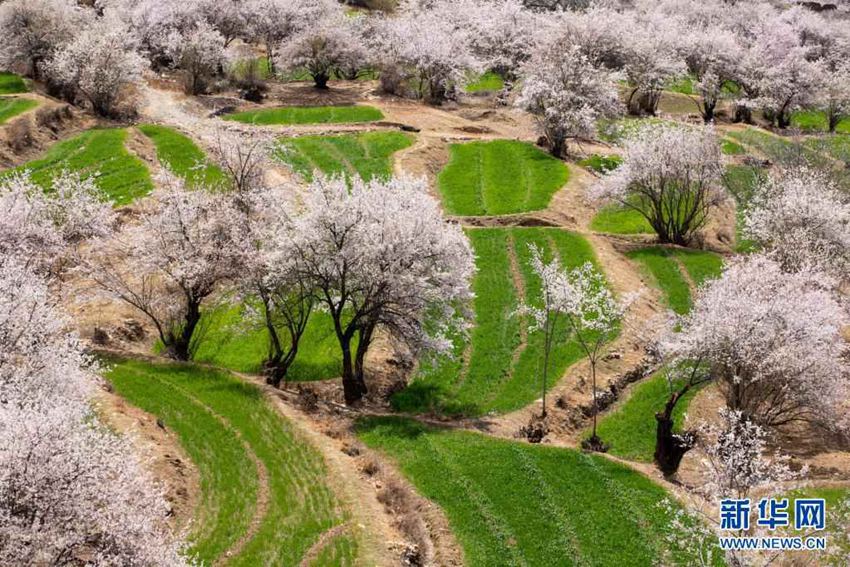 ???? ??? ?? [4? 3? ?? ??/?? ??: ???]