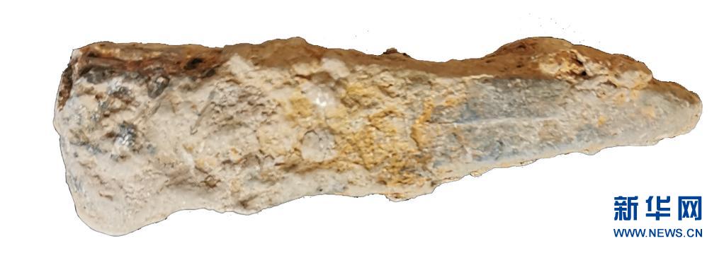 ???? ??? ?? [?? ??: ??? ???? ??? ????] 