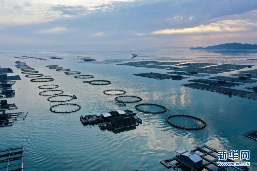 ??(福建)? ??(東山)? ??(陳城)? ????????. ???? ?? ??? ?? ?? ???? 2019?? ????? 44? ?, ?? ?? ??? 27.6? ?? ????. [2020? 3? 26? ?? ??/?? ??: ???]