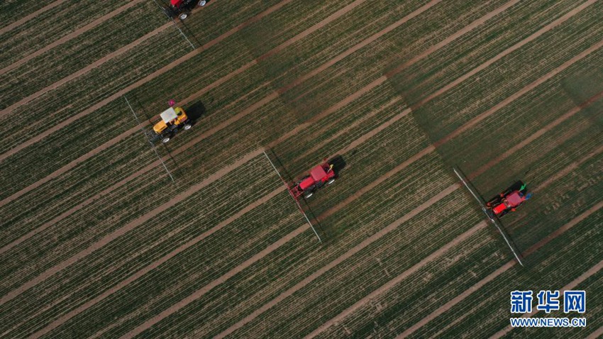 ???? ???(河北) ??(辛集)?? ????(試炮營(yíng))? ???? ?? ??? ????. [2020? 3? 17? ?? ??/?? ??: ???]