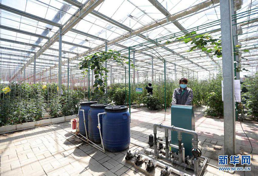 ??? ???(饒陽)? ???????? ??? ??? ?? ?? ????? ????. ?? ?? ????? ?? ?? ??? ?? ??? ???? ?? ????? ?? ???? ?? ?????? ??? ???? ?? ????, ??? ?????, ??? ?????? ? ?? ‘???’ ??? ?? ??? ?? ????. [2020? 4? 8? ??/?? ??: ???]