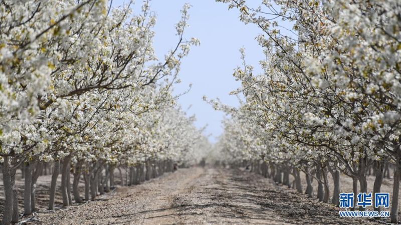 4? 11? ?????? ??? ??? ? [?? ??: ???]