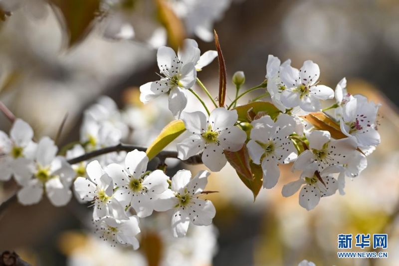 ???? ??? ????? ?? [4? 11? ??/?? ??: ???]