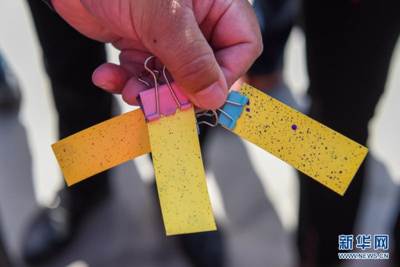 ???? ???? ???? ?? ?? ??? ????. [4? 11? ??/?? ??: ???]