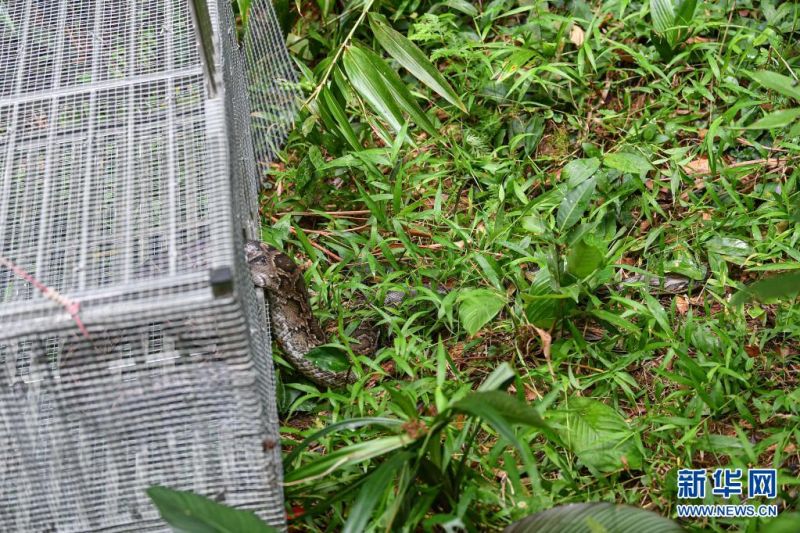 ??? ?????? ???? ?? ??? ??. [4? 15? ??/?? ??: ???]