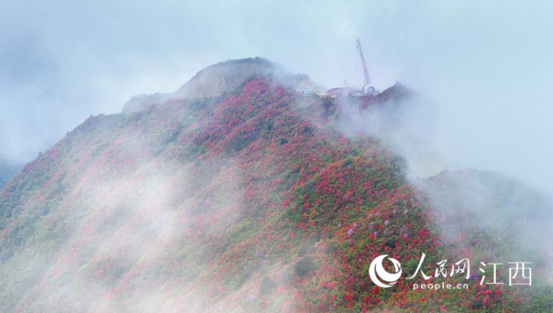 ????? ?? ???? ??? ??? ???? ????. [?? ??: ???]