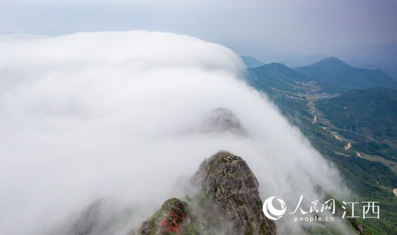 ?? ?? ??? ??? ????? ??? ???. [?? ??: ???]