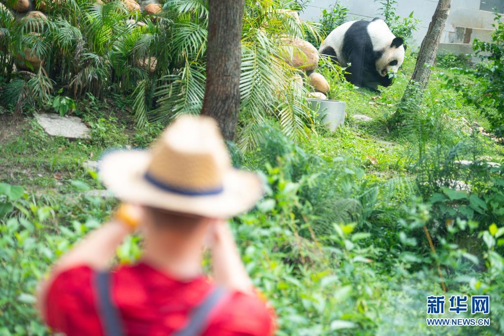 ??? ??? ????? ‘??’? ?? ??. [5? 1? ??/?? ??: ???]