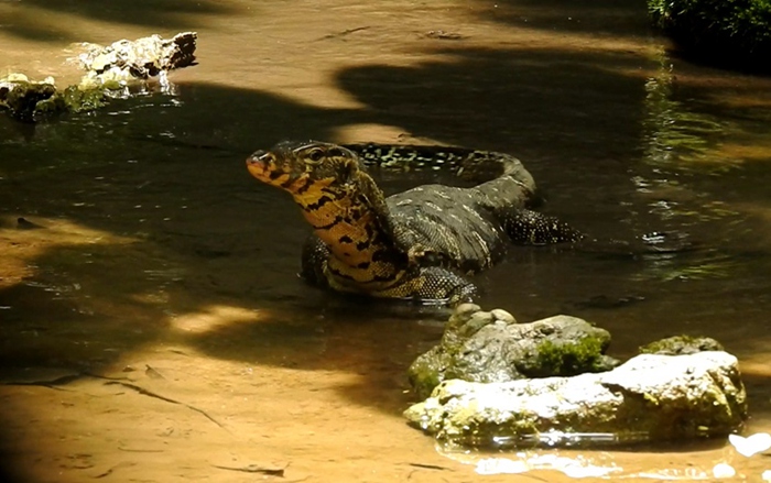 ?? ?? ??? ???????? ??? ????? [?? ??: ???]