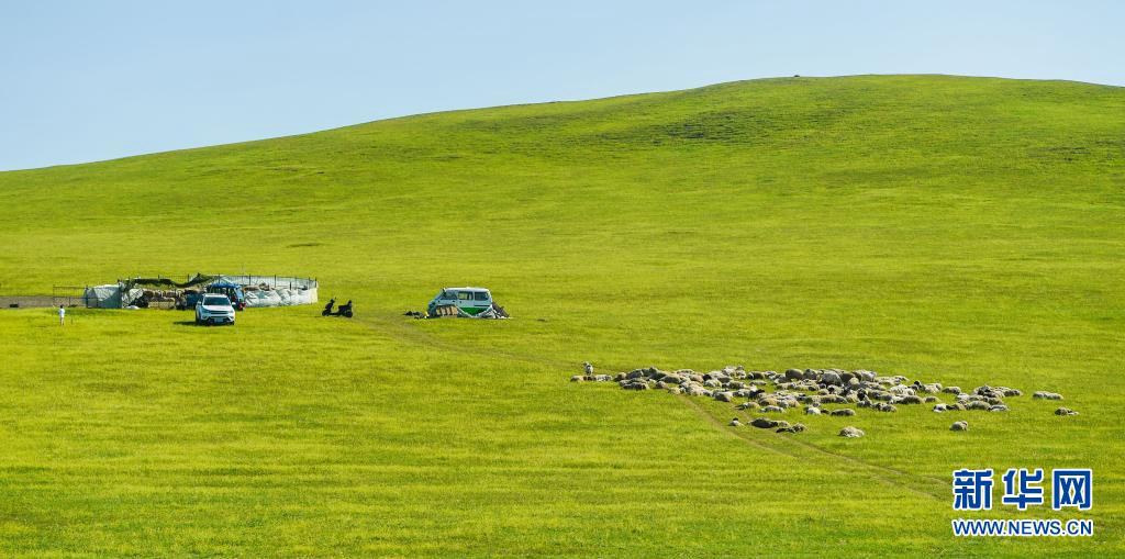 ????? ??? ?? [6? 6? ??/?? ??: ???]