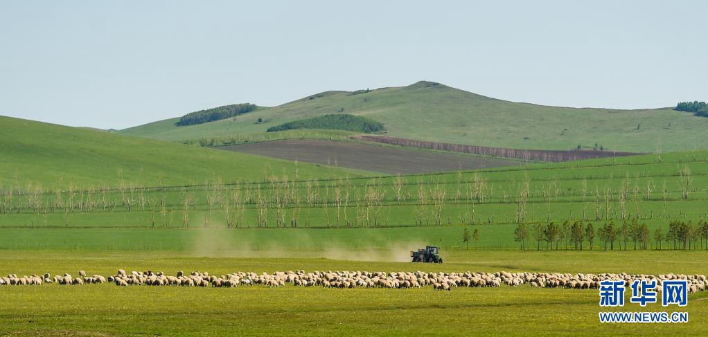 ??? ????? ???? ??? ?? ??. [6? 6? ??/?? ??: ???]