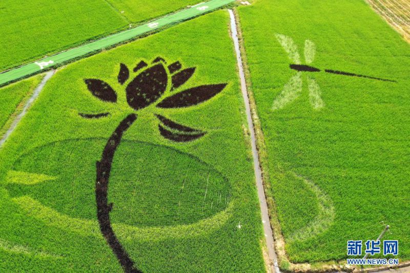 ? ???? ?? [7? 16? ?? ??/?? ??: ???]