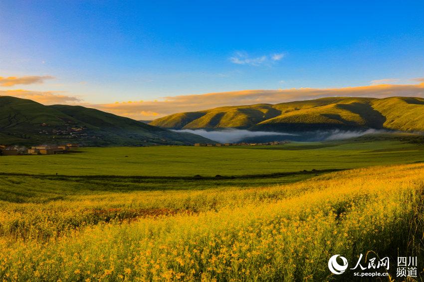 ???? ?? ???? ??? ??? ????. [?? ??: ???]