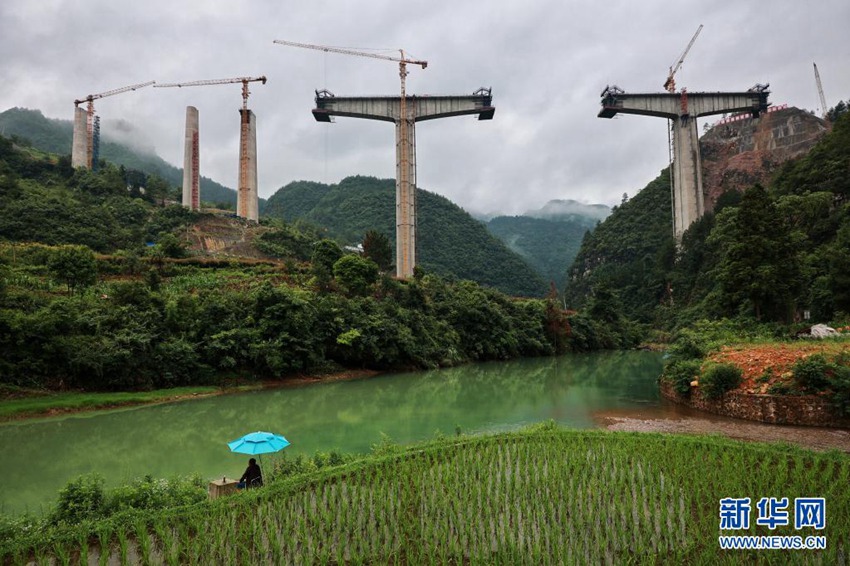 ????? ???(貴定)?? ???(貴南) ??? ????(桐子園)????? ?? ?? [2021? 6? 11? ?? ??/?? ??: ???] 