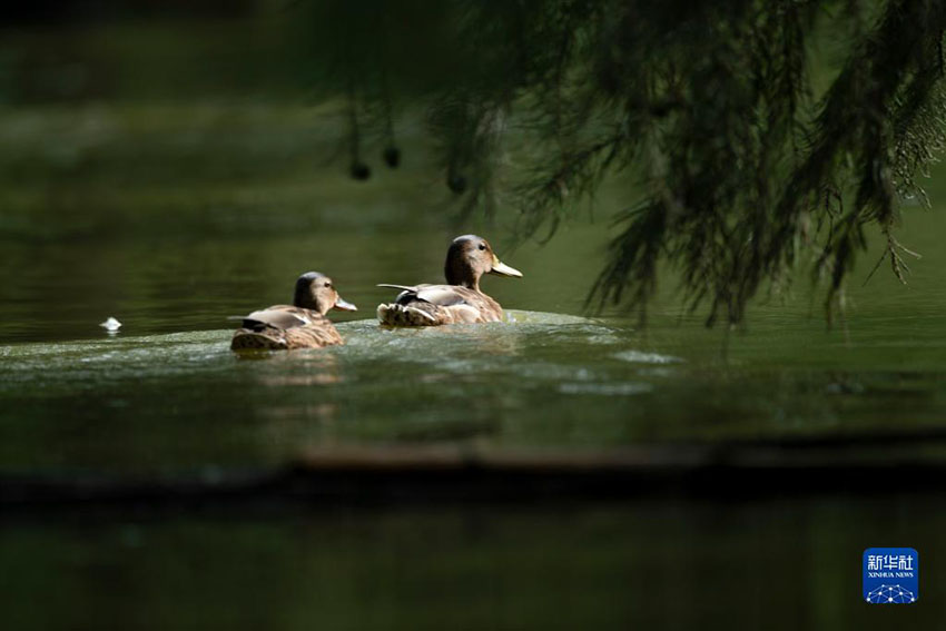 ??? ???? ??. [?? ??: ???]