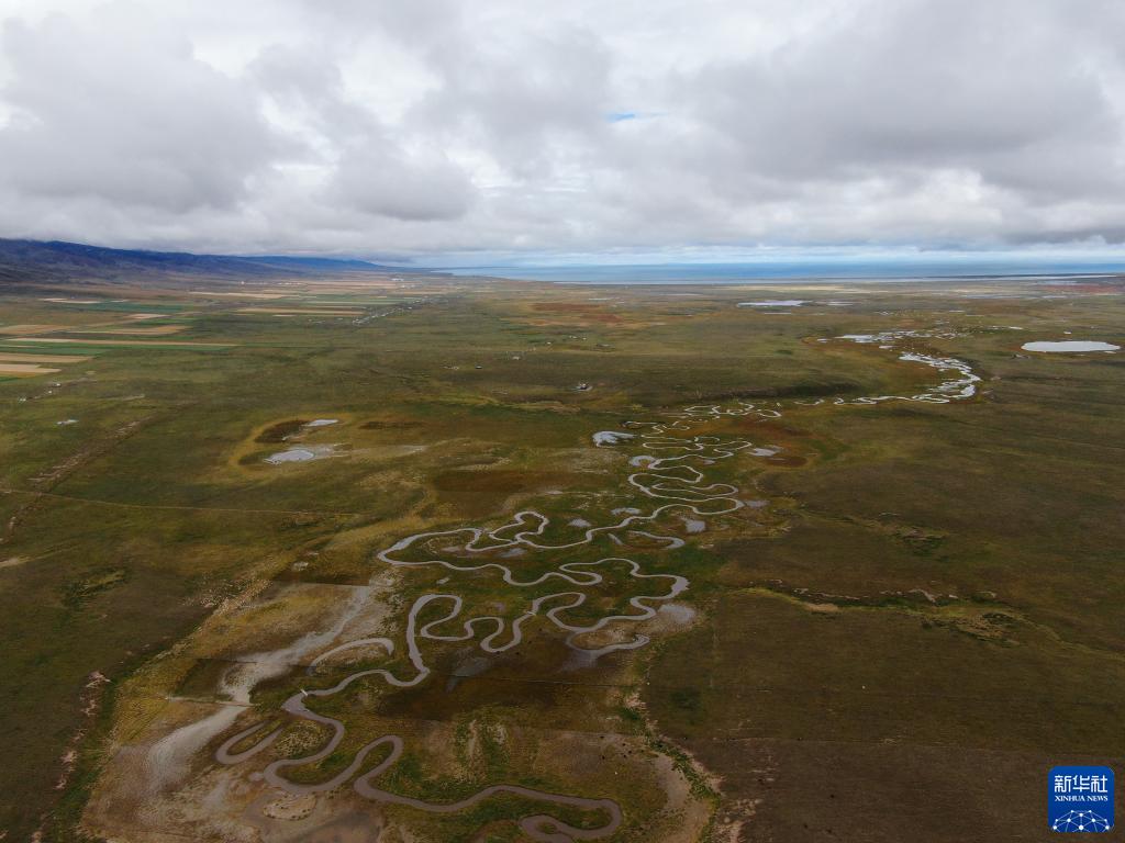 ????? ???? [?? ??: ???]