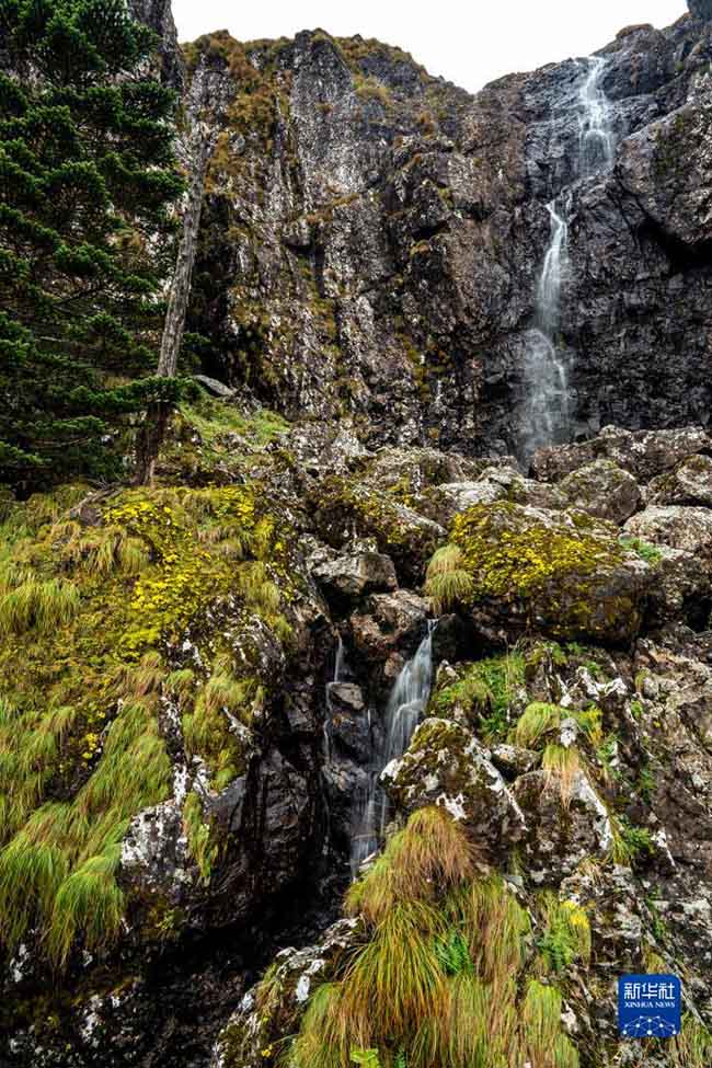 ????? ?? [9? 22? ??/?? ??: ???]