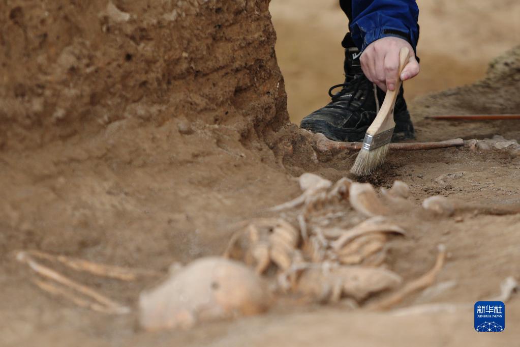 ????? ???? ??? ? ?? ??? ?? ???? ?? ?? ?? ???. [10? 15? ??/?? ??: ???]