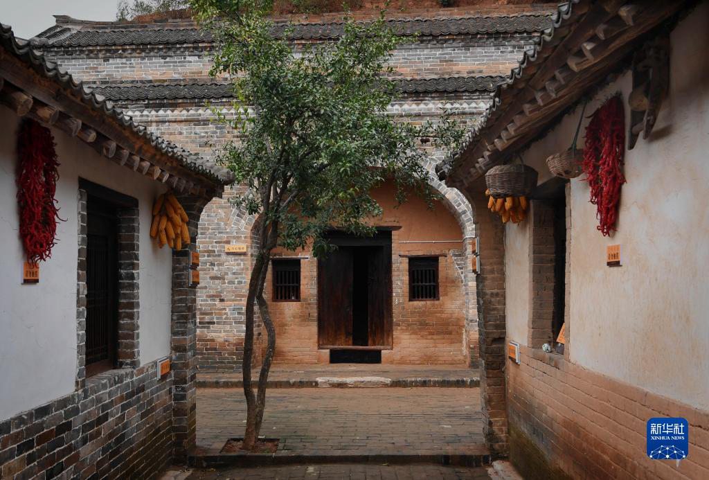 ???? ?? ??? ?? ? ??? ???? ????? ?? ? [10? 15? ??/?? ??: ???]