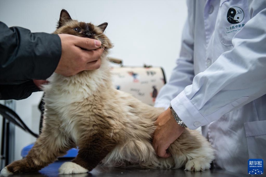 ???(???)? ???? ?? ?? ??. [10? 29? ??/?? ??: ???]