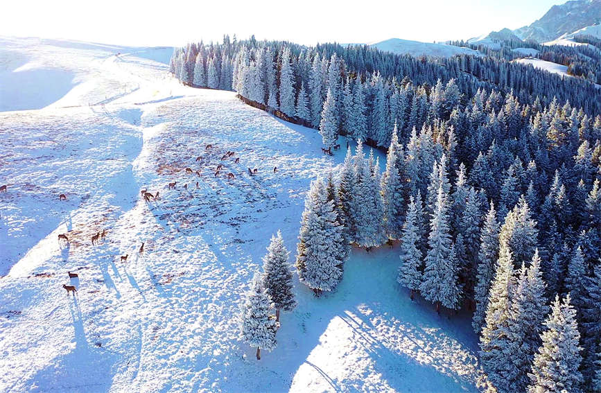 ?????? ?? ??? ?? ???? ?? [?? ??: ???]