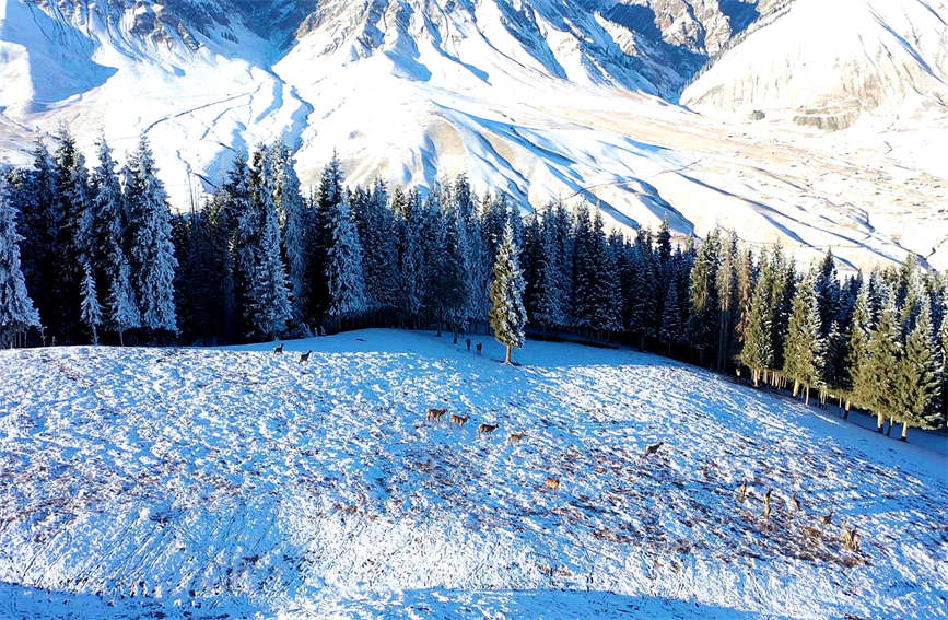 ?????? ?? ??? ?? ???? ?? [?? ??: ???]