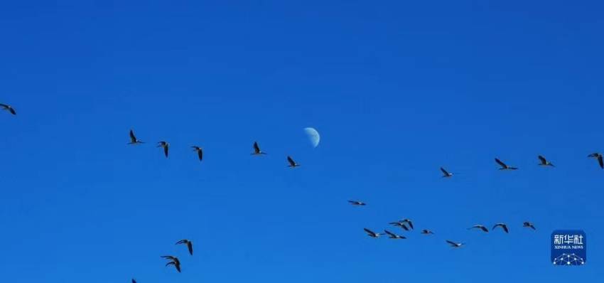 ? ?? ????? ?? ??. [12? 11? ??/?? ??: ???]