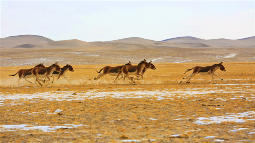 ??? ?? ???? [?? ??: ???]